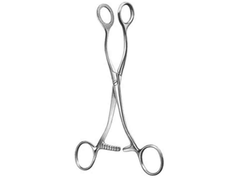 Pensa prins limba Collin din inox Japonia – Raydent Instruments | TDN MEDICAL