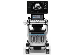 Ecograf Samsung HERA W10