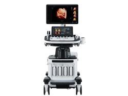 Ecograf Samsung HERA W9