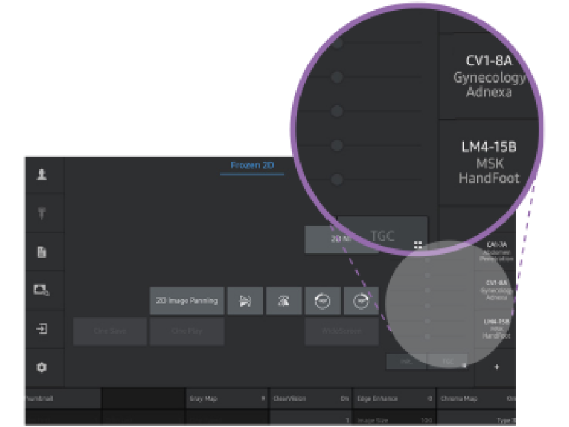 Ecograf Samsung HERA W9
