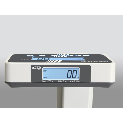 Cantar personal profesional KERN MPE 250K100PM (Germania) – 250 kg, functie BMI, aprobat pentru uz medical Cantar personal profesional KERN MPE 250K100PM (Germania) – 250 kg, functie BMI, aprobat pentru uz medical