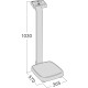 Cantar personal profesional KERN MPE 250K100PM (Germania) – 250 kg, functie BMI, aprobat pentru uz medical Cantar personal profesional KERN MPE 250K100PM (Germania) – 250 kg, functie BMI, aprobat pentru uz medical
