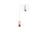 Dezinfectant Tegumente SOFTASEPT N 1000 ml