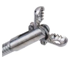 Pensa de biopsie cupe aligator 2.4x1800mm - unica folosinta