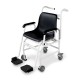Chair Scale KERN MCC 250K100M