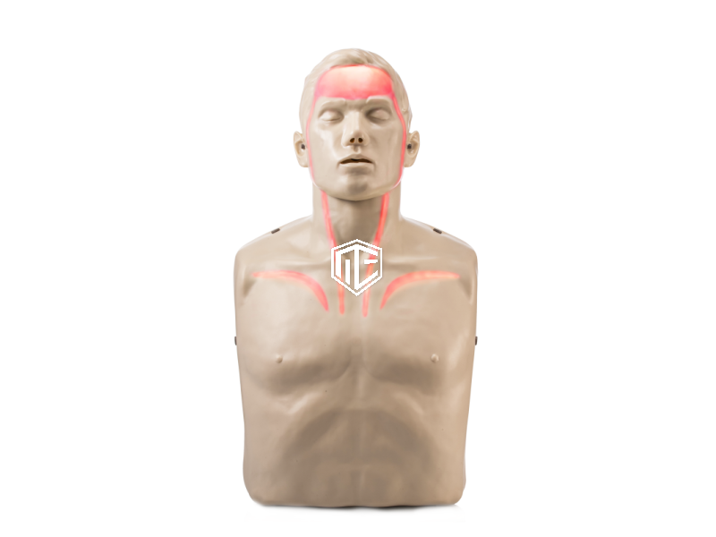 Manechin instruire CPR Brayden LED roșu