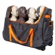 Brayden Trolley