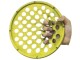 Grip trainer