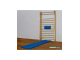 Perna anatomica