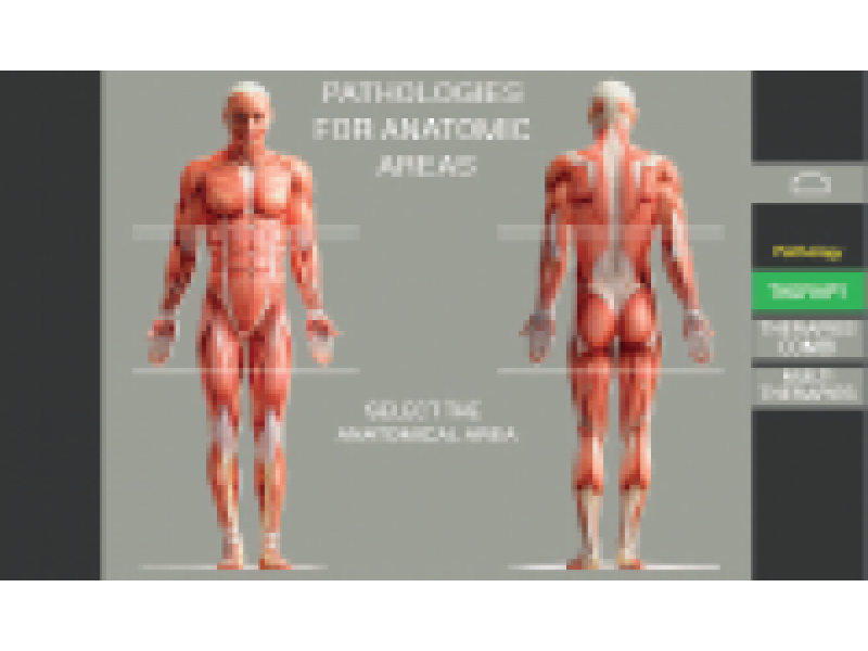 Polyter Evo - Echipament Modular Fizioterapie Combinata