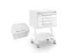 Sanistation Dulap Dispenser