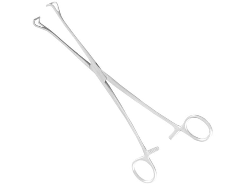 Pensă intestinală Babcock