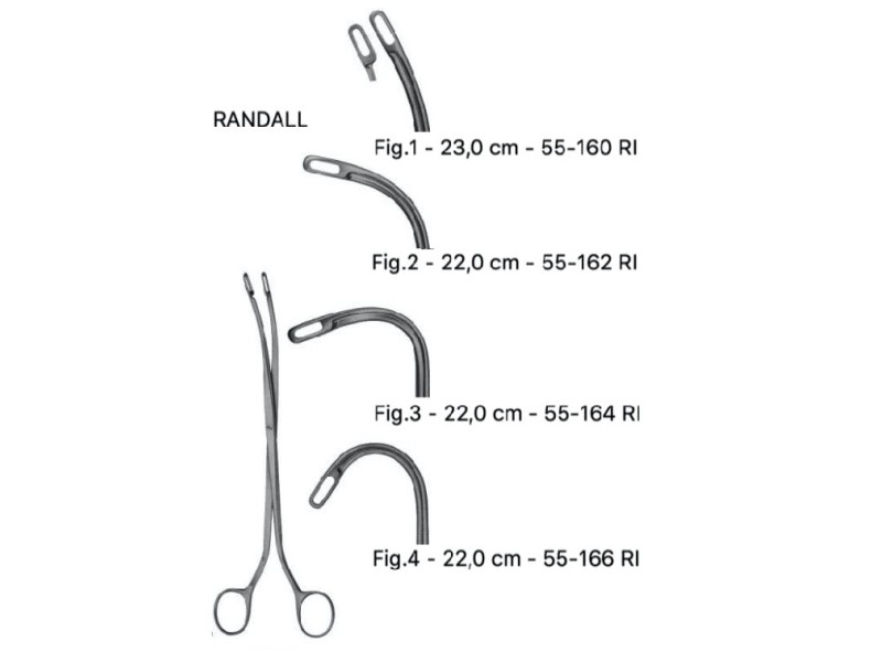 Pensă calculi renali Randall